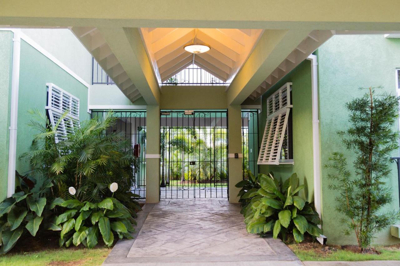 Choose To Be Happy At Ei8Ht! - Super Studios And Penthouse Apartment Kingston Exterior photo